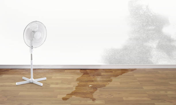 Best Water damage restoration specialists  in Victoria, VA