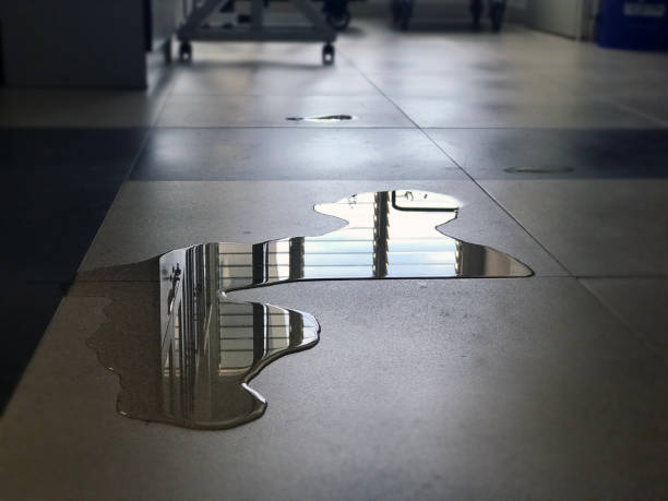 Best Water damage mitigation services  in Victoria, VA