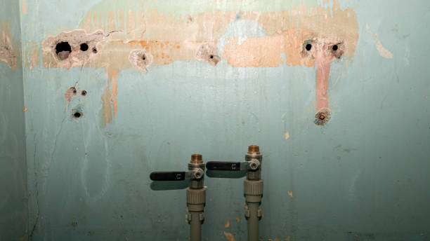 Best 24-hour water damage restoration  in Victoria, VA