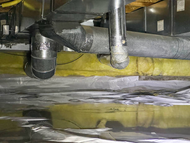 Best Local water damage restoration  in Victoria, VA