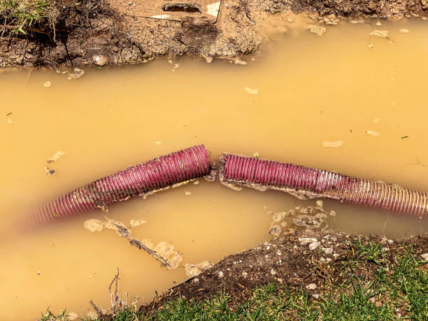  Victoria, VA Water damage restoration Pros